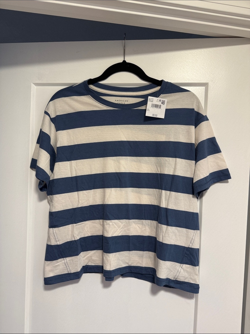 American Eagle Outfitters Blue and White Striped Crew Neck Tee